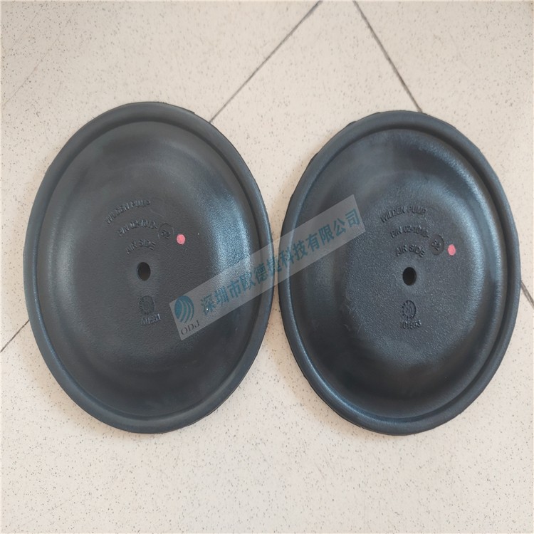 WILDEN隔膜泵 T2AAAABBNSBNABN0014+膜片02-1010-52（一台泵2片膜数量1图3
