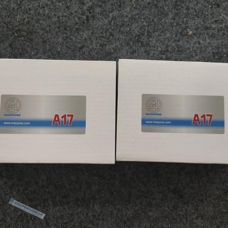 MARPOSS马波斯温度传感器B6871151021