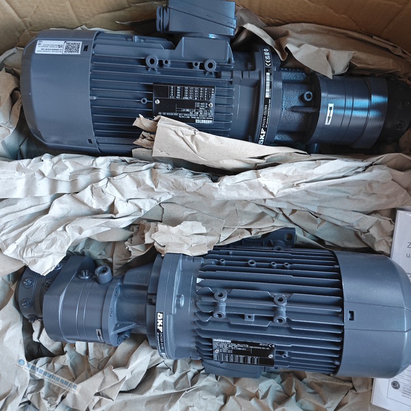 SKF ZM2203-S1+100 润滑齿轮泵带电机